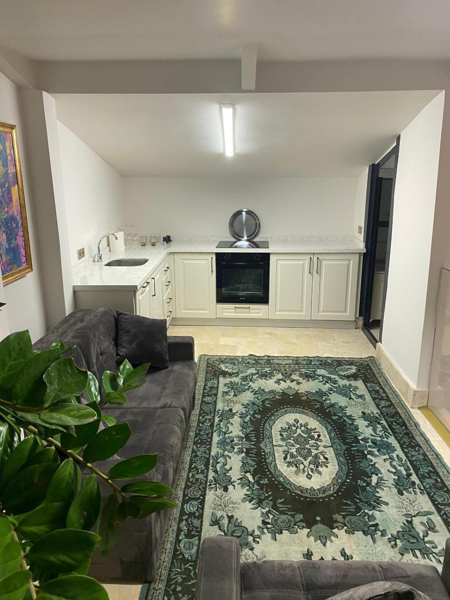 Ab Residences- Private Villa Independent Istanbul Bagian luar foto