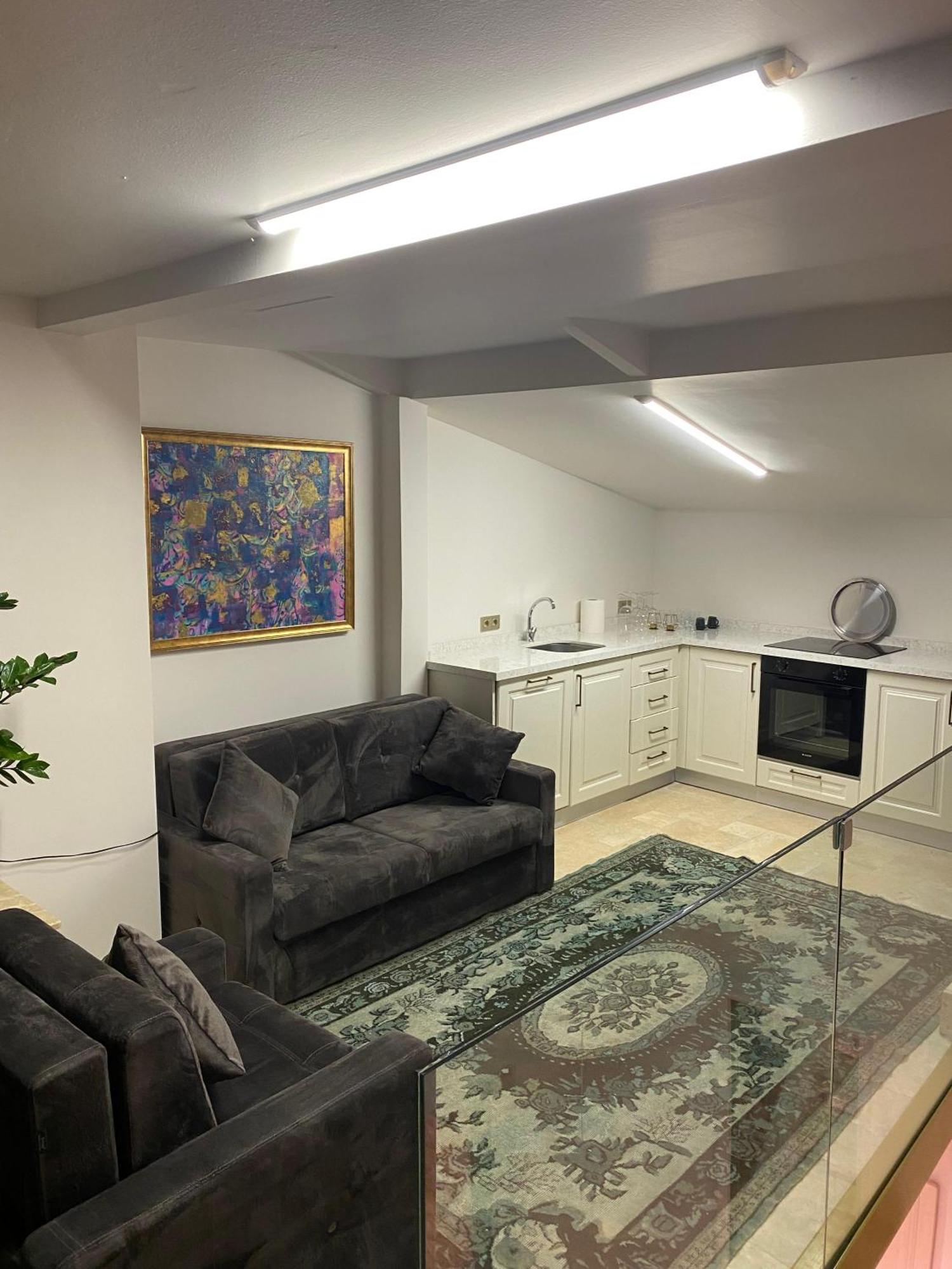 Ab Residences- Private Villa Independent Istanbul Bagian luar foto